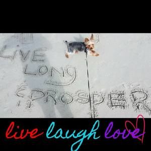 Meet your Posher, Rhonda